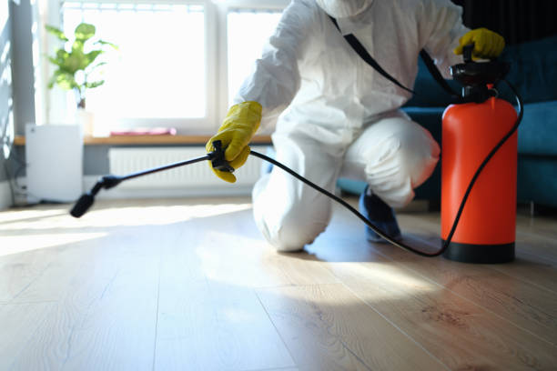 Reliable Sewage Cleanup contractor in Grant, MI by Trauma Clean Pros